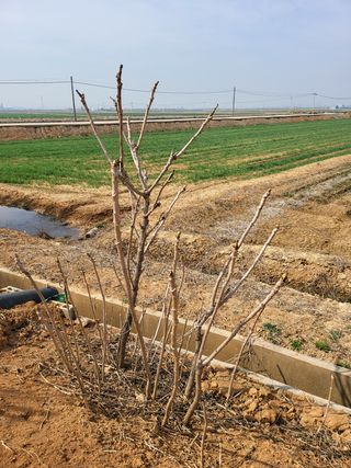 체리123님의 기타작물 · 자유게시판 작성글 사진