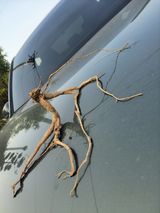 팜모닝 자유주제·자유게시판 게시글 이미지