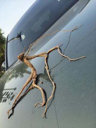 농사꾼 단비님의 자유주제 · 자유게시판 작성글 사진