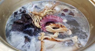 농사꾼 단비님의 자유주제 · 자유게시판 작성글 사진