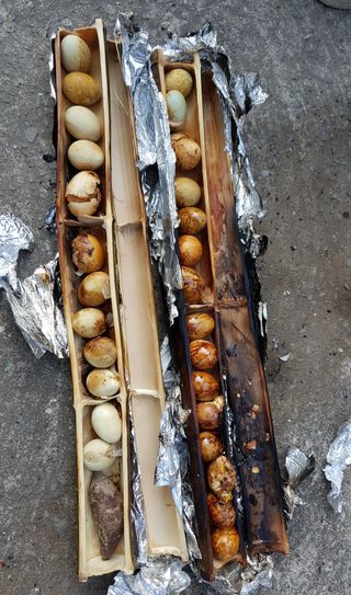 농사꾼 단비님의 자유주제 · 자유게시판 작성글 사진