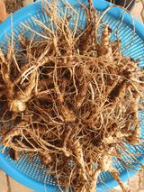 팜모닝 · 게시글 이미지