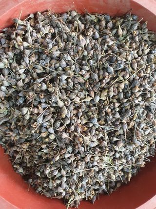 김홍진님의 작성글 사진