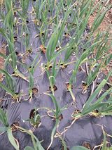 팜모닝 자유주제·사진전 게시글 이미지