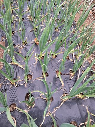 곽덕순님의 자유주제 · 사진전 작성글 사진