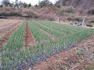 곽덕순님의 자유주제 · 사진전 작성글 사진