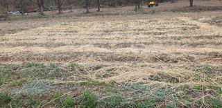 주주농장님의 자유주제 · 사진전 작성글 사진