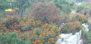 주주농장님의 자유주제 · 사진전 작성글 사진