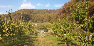 주주농장님의 자유주제 · 사진전 작성글 사진