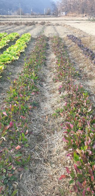 주주농장님의 자유주제 · 사진전 작성글 사진