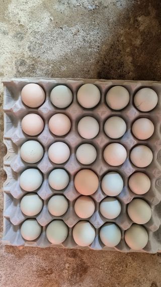 김민철 님의 작성글 사진