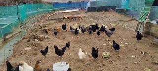 김민철 님의 작성글 사진