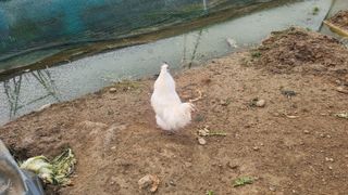 김민철 님의 작성글 사진