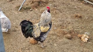 김민철 님의 작성글 사진