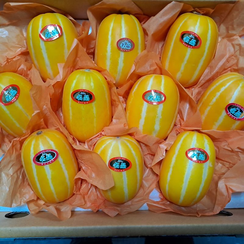 장터 상품 [[판매중단] 고당도. 🍯 꿀참외 (선물용) - 무료배송 ] 썸네일