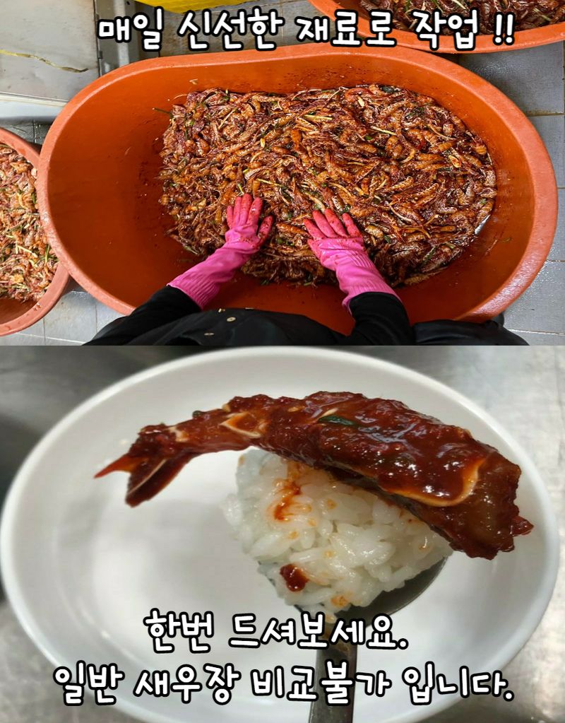 모어더더님의 장터 판매 상품 [동해안 명품 보리새우장 500g] 첨부 사진