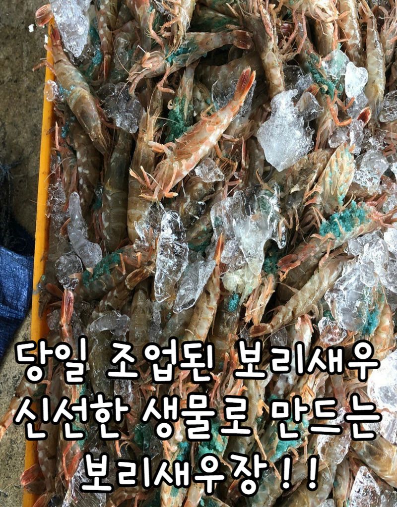 모어더더님의 장터 판매 상품 [동해안 명품 보리새우장 500g] 첨부 사진