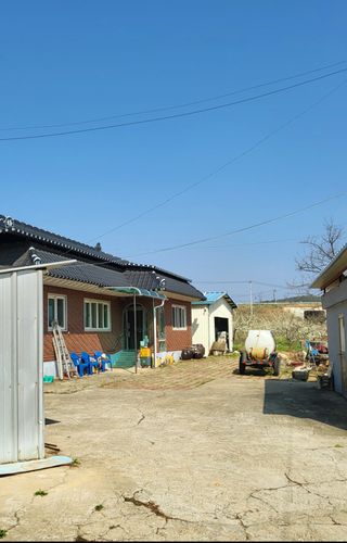 자두6706님의 자두 · 자유게시판 작성글 사진