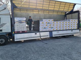 대박인상님의 감자 · 자유게시판 작성글 사진