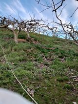 팜모닝 감·자유게시판 게시글 이미지