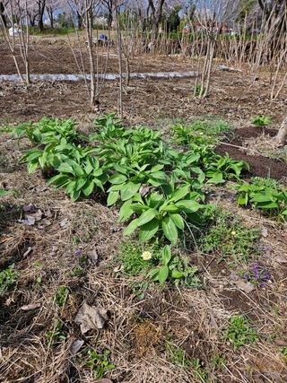 정완희 님의 작성글 사진