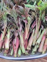 팜모닝 · 게시글 이미지