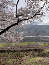 팜모닝 자유주제·자유게시판 게시글 이미지