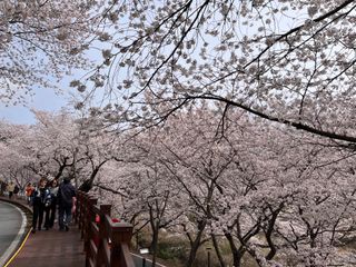 자연좋고사람좋고님의 자유주제 · 자유게시판 작성글 사진