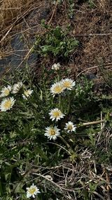 팜모닝 · 게시글 이미지