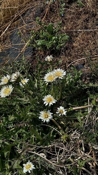 박신영님의 작성글 사진