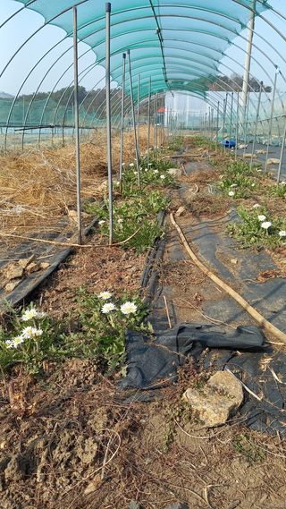 박신영님의 작성글 사진