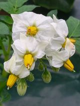 팜모닝 자유주제·자유게시판 게시글 이미지