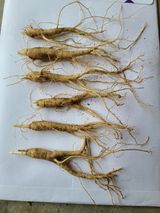 팜모닝 · 게시글 이미지