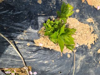 김태현님의 작성글 사진