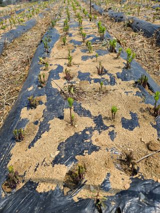 김태현님의 작성글 사진