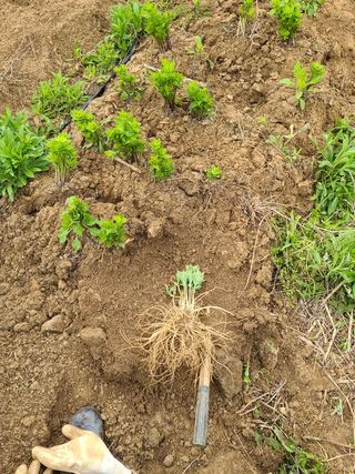 김태현님의 작성글 사진