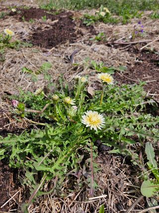 정완희 님의 작성글 사진