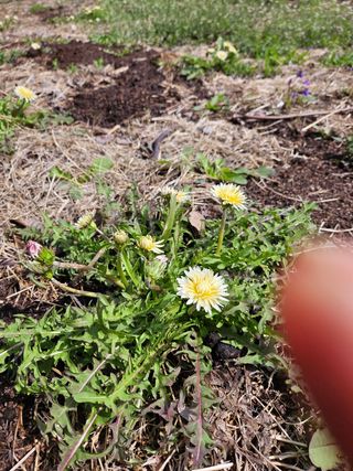 정완희 님의 작성글 사진