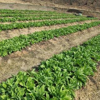 이종권님의 기타작물 · 자유게시판 작성글 사진