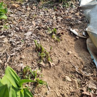 이종권님의 기타작물 · 자유게시판 작성글 사진