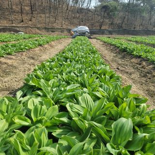 이종권님의 기타작물 · 자유게시판 작성글 사진