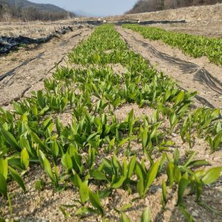 이종권님의 기타작물 · 자유게시판 작성글 사진
