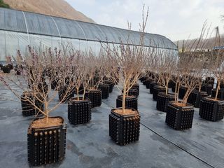 이선미님의 작성글 사진