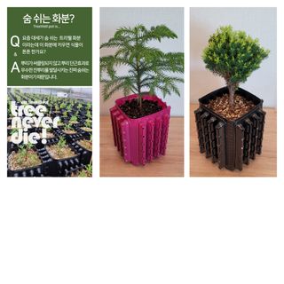 이선미님의 작성글 사진