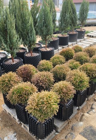 이선미님의 작성글 사진