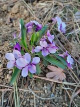 팜모닝 자유주제·자유게시판 게시글 이미지