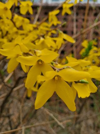 봉우재농부님의 자유주제 · 자유게시판 작성글 사진