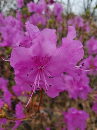 봉우재농부님의 자유주제 · 자유게시판 작성글 사진