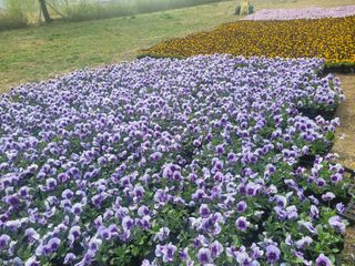쌍둥이네빠끔살이님의 자유주제 · 자유게시판 작성글 사진
