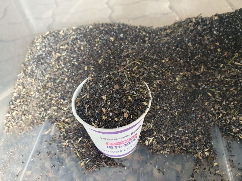 장터 상품 [슈퍼 약도라지씨 파라요~] 썸네일